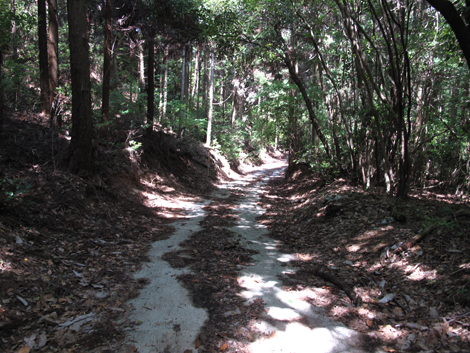 20140524hike (232)